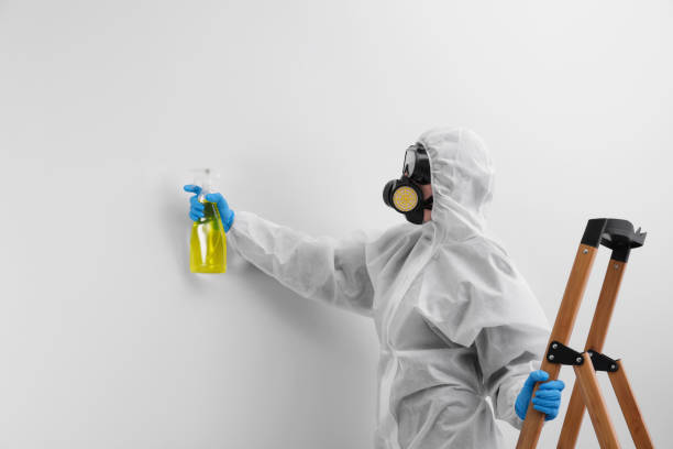 Best Residential Mold Inspection & Testing  in Raven, VA